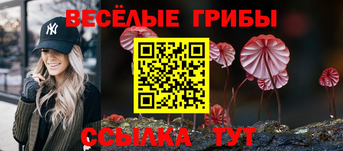 Псилоцибиновые грибы Psilocybe Великий Устюг