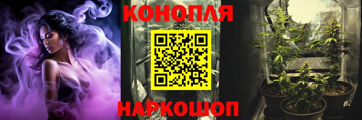 Великий Устюг  Шишки марихуана гибрид  Вход с VPN  Бошки Шишки THC 21%  Бошки Шишки THC 21% 